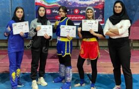 دختران ووشو مهاباد با کسب ۱۰ مدال استانی خوش درخشیدند